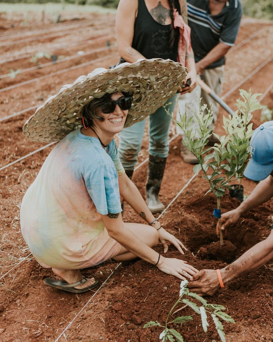 A farmer planting a seedling in the red earth