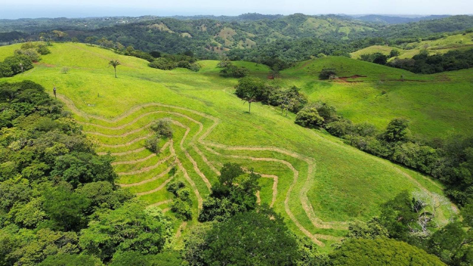 Contour swales cut across the hillside at Tierramor, planted along the slope