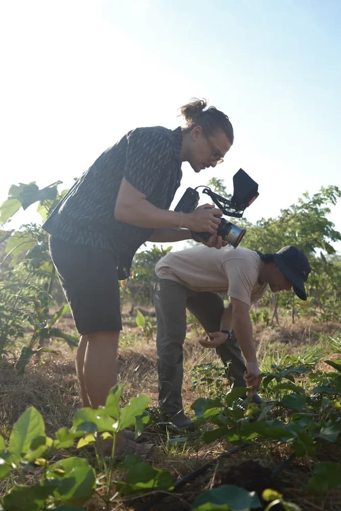 Someone filming on a handheld camera as another person plants among young seedlings