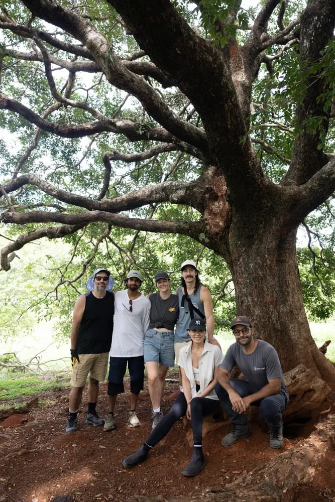 A cohort posed together in the shade of an enormous spreading tree