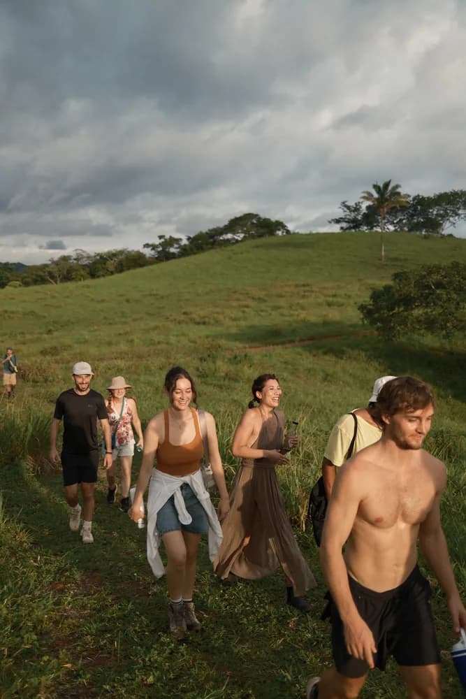 A group walking up a green hillside through long grass in late afternoon light
