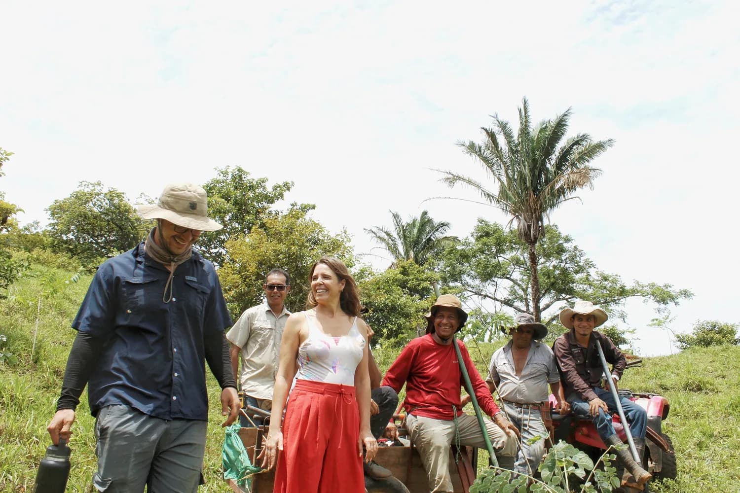 A line of people carrying tools and saplings out across open pasture to plant