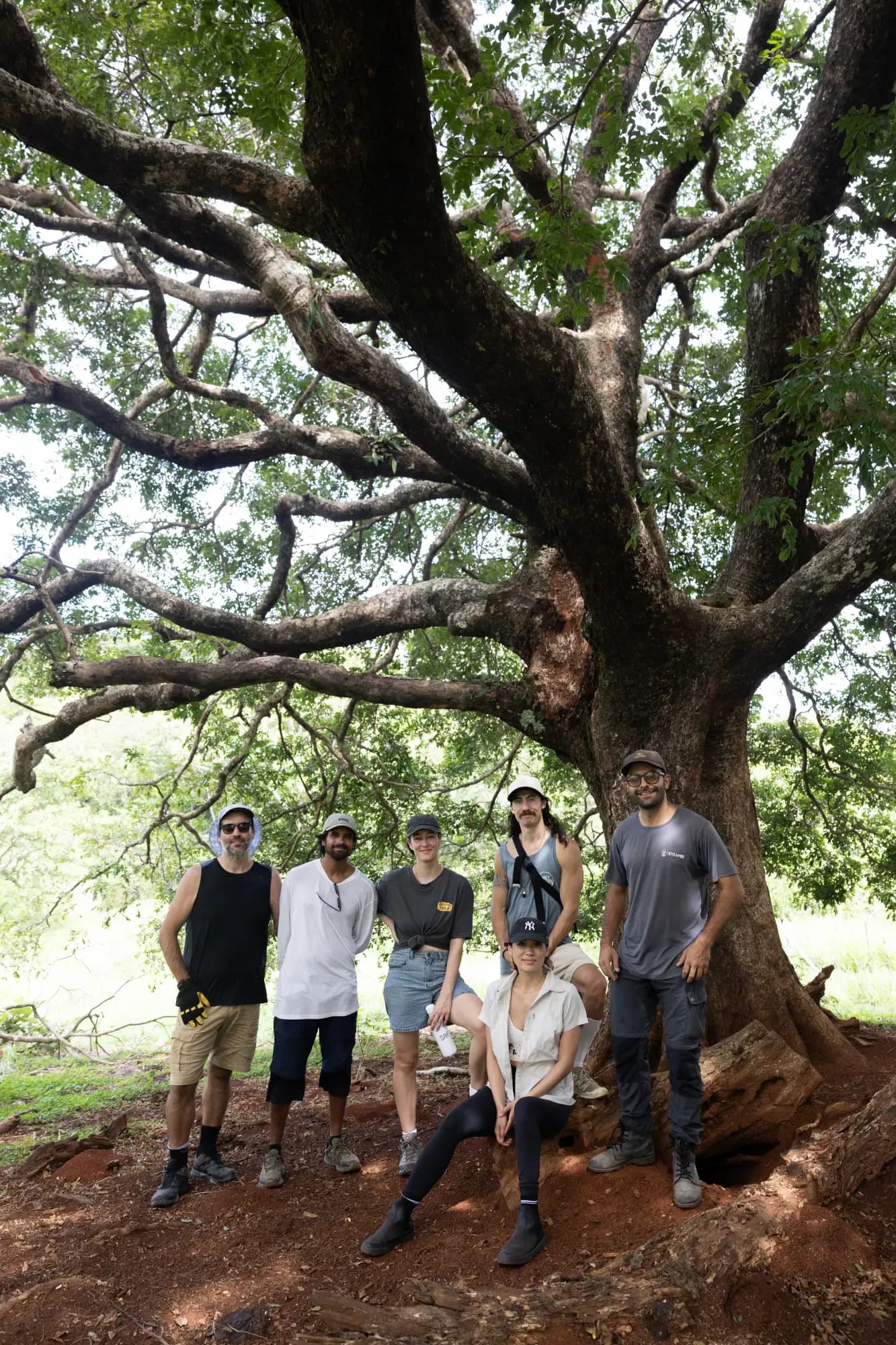 A group standing together beneath the spreading branches of an old guanacaste tree