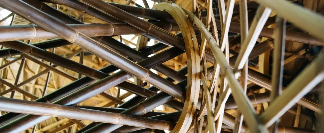 Bamboo poles lashed into a structure, seen from below