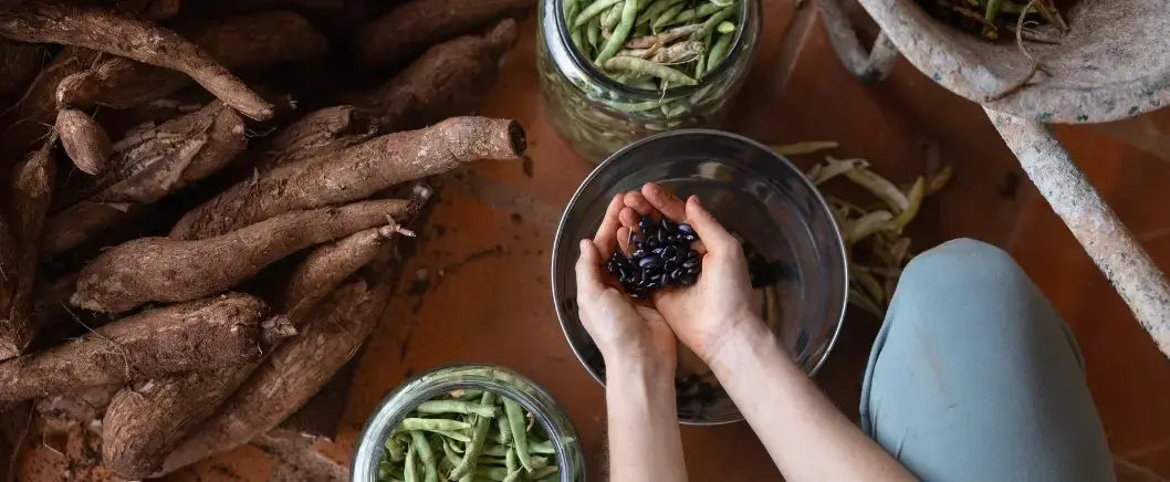 Hands cupping black beans over a bowl, beside jars of green beans and a pile of yuca