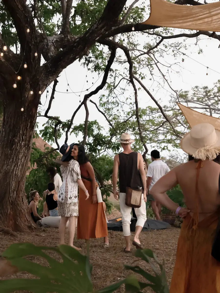 Festival guests under the strung lights of the big tree