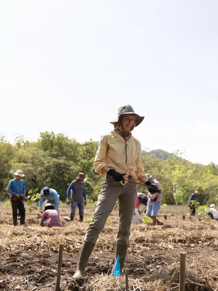 Course participants planting a freshly mulched field, one in a wide hat with a tool in hand